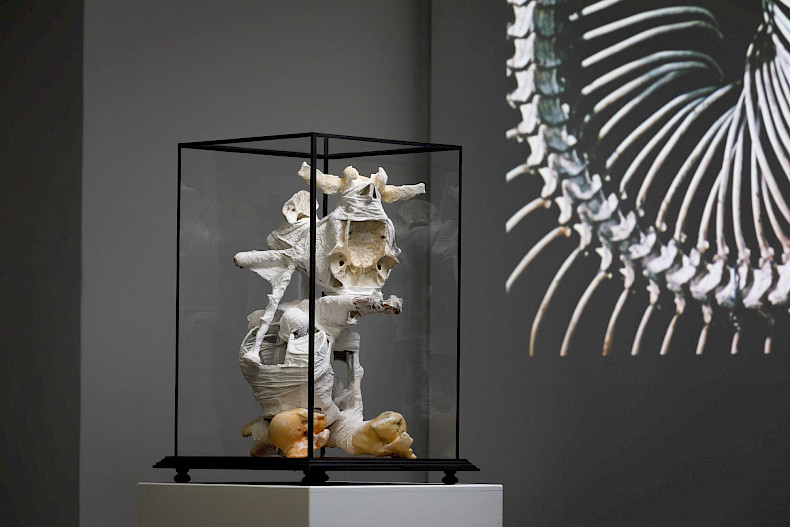 Jan Švankmajer: Unnatürliche Geschichten. Ausstellungsansicht Kebbel Villa 2023, Foto: Clemens Mayer