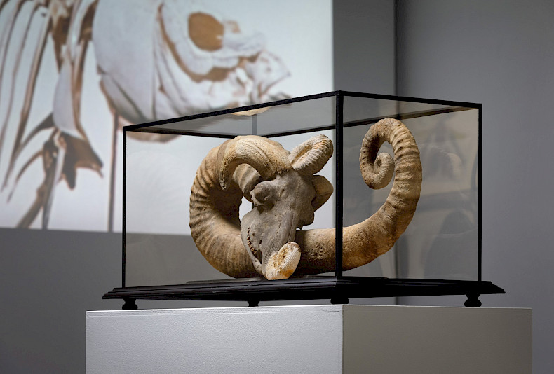 Jan Švankmajer: Unnatürliche Geschichten. Ausstellungsansicht Kebbel Villa 2023, Foto: Clemens Mayer