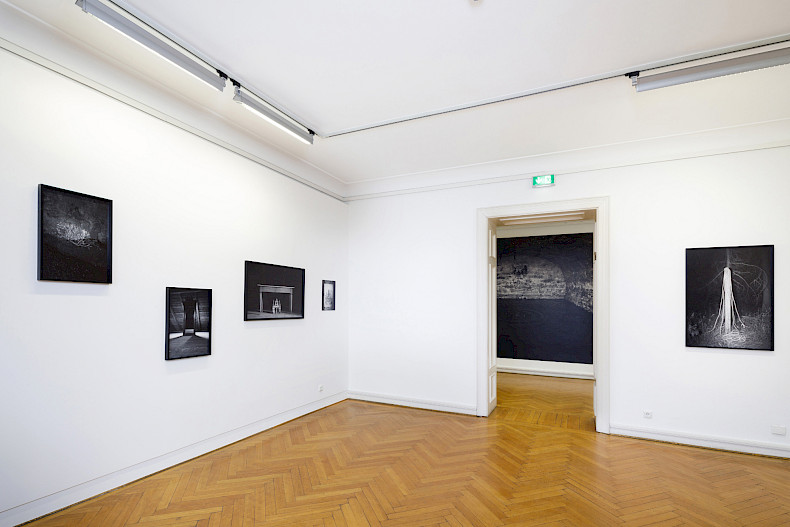 Elena Helfrecht: PLEXUS. Ausstellungsansicht Kebbel Villa 2024. Foto: Clemens Mayer