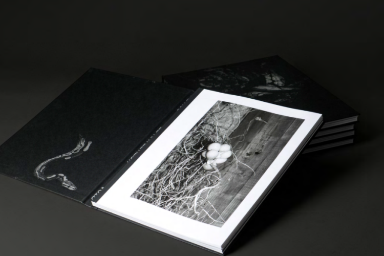 Ansicht Fotobuch PLEXUS von Elena Helfrecht (c) Verlag Void