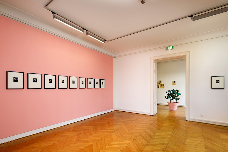 Antonia Gruber: GOOD WIFE. Ausstellungsansicht Kebbel Villa 2024. Foto: Clemens Mayer