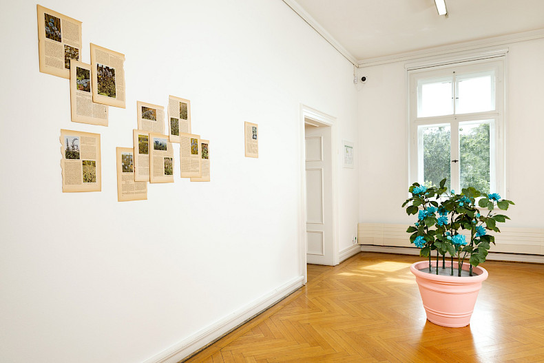 Antonia Gruber: GOOD WIFE. Ausstellungsansicht Kebbel Villa 2024. Foto: Clemens Mayer