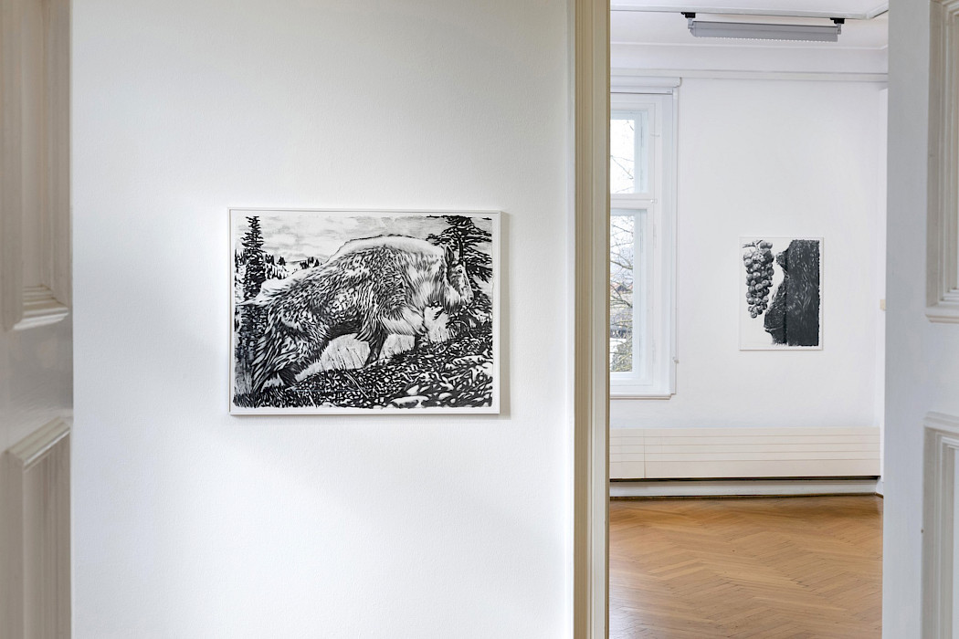 Raymond Pettibon & John Newsom, The Seven Deadly Sins and The Seven Heavenly Virtues, Ausstellungsansicht 2025, Kebbel Villa, Schwandorf