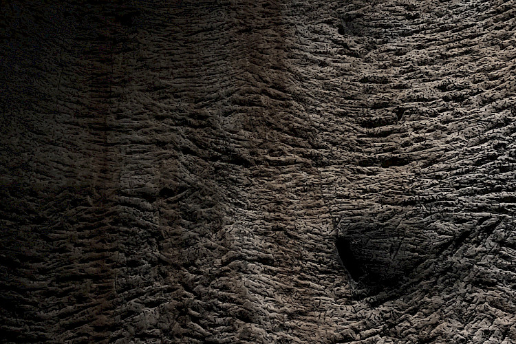 Polina Shcherbyna: The Highest Point of an Empty Temple (Photo: the artist)