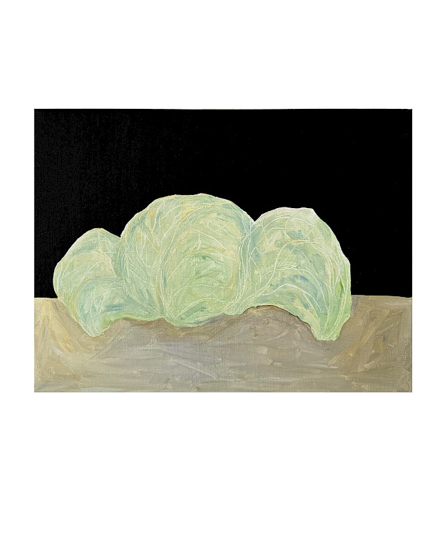 Sarah Bogner, Cabbage, 2026, photo: Marcus Rebmann